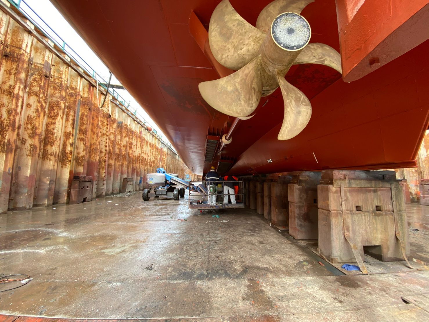 The Electric Ferry 'Ellen' VitaSim